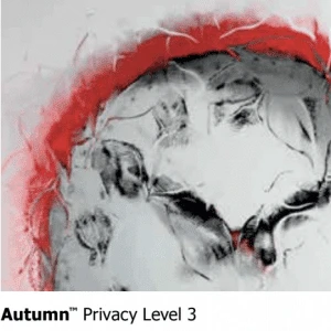 Autumn Glass Types level 3 for doors.