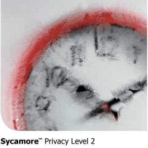 Glass Types, Privacy Level