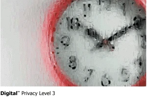 Digital privacy level 3 with glass types for doors.