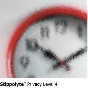 A privacy level 4 clock.